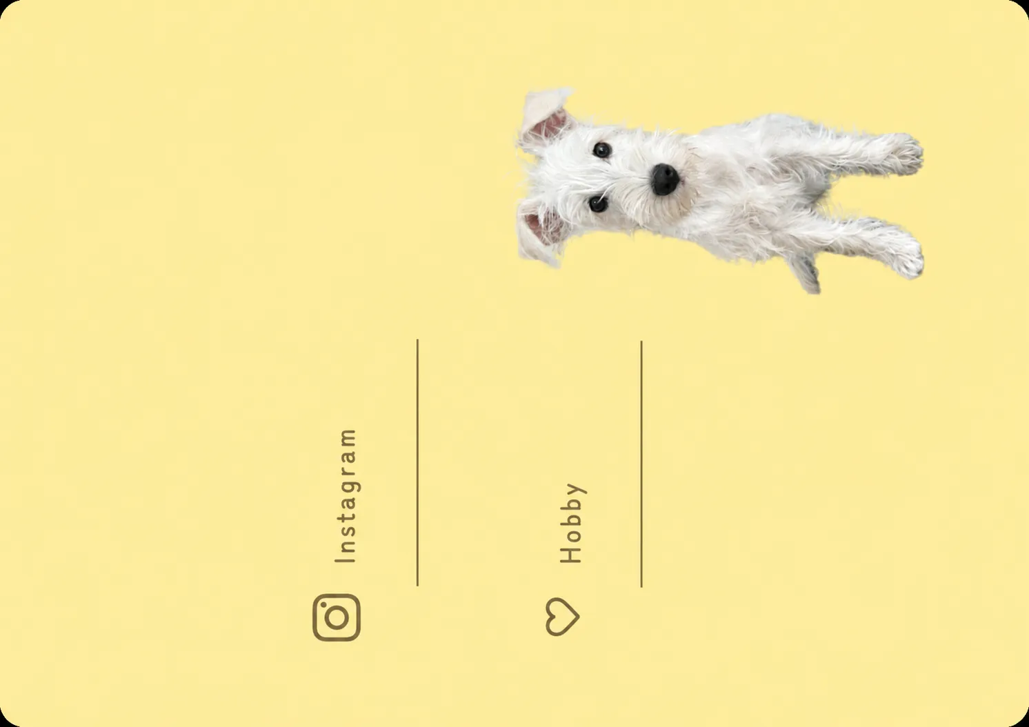 0からのオーダー 裏面